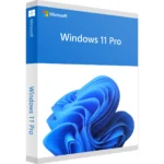 Clé Windows 11 Pro OEM