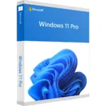 Windows 11 Pro Key