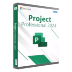 Project 2024 Professional – permanent licence