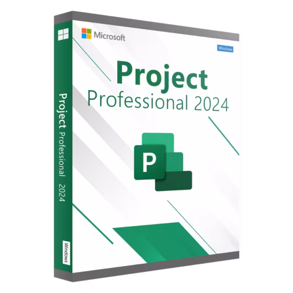 Project 2024 Professional – permanent licence
